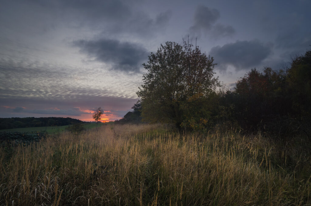 Rügen am Abend - Foto: Dietrich Bojko