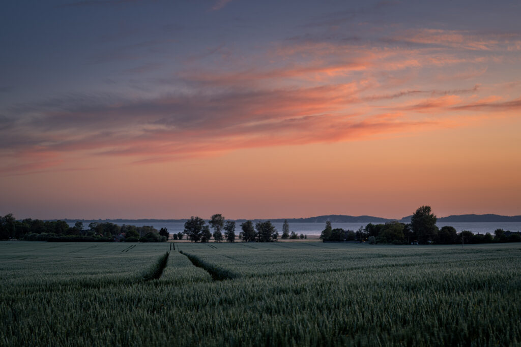 Rügen Landschaft - Foto: Dietrich Bojko